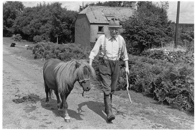 Arthur Fry and his Shetland Stallion, Throwleigh Common 1983.jpg