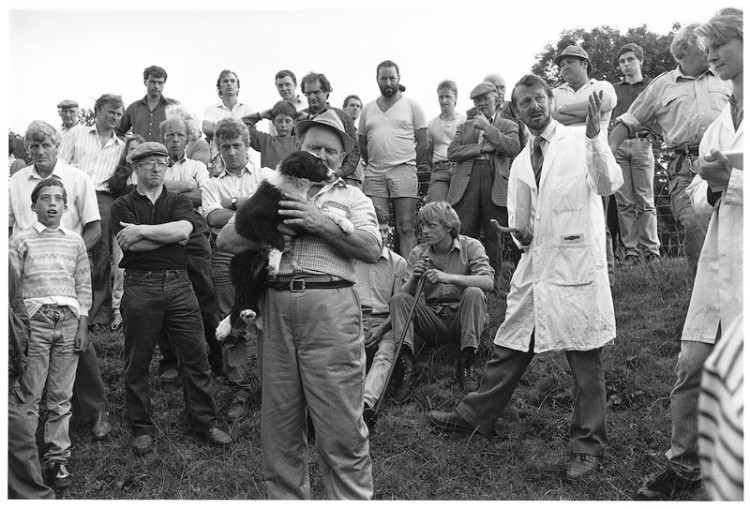 Auctioning a sheepdog, Bowden Farm, Drewsteignton 1990.jpg