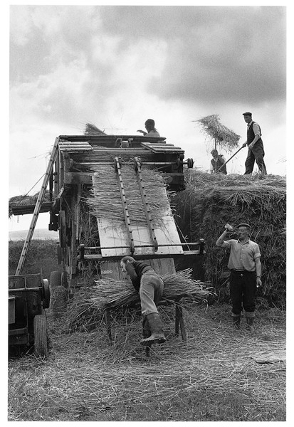 Bill Haydon's Reed Comber, Hittisleigh 1978.jpg