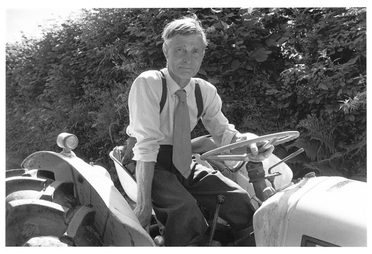 Clifton taking his David Brown tractor to the sale field 1998.jpg