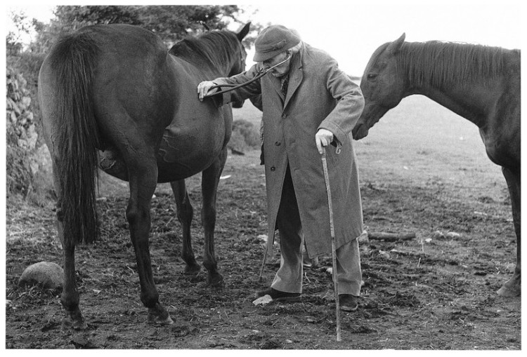 Dr Duncan Fraser examining a pregnant mare, Moor Gate, North Bovey 1984.jpg