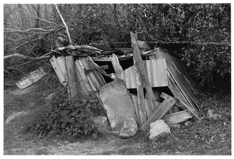 Goose House, Murchington, 1984.jpg