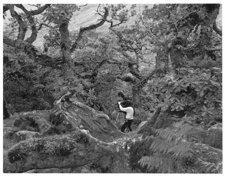 James Ravilious - a man of the cloth! Wistman's Wood 1997.jpg