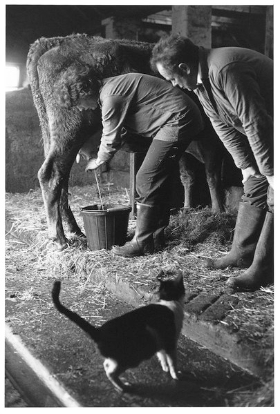 Mervyn & June Bray,Smallholders, Bellever 1976.jpg