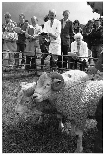 Sylvia Needham, President of the Widecombe Whiteface Assoc. Ashburton Sheep Fair 1999.jpg