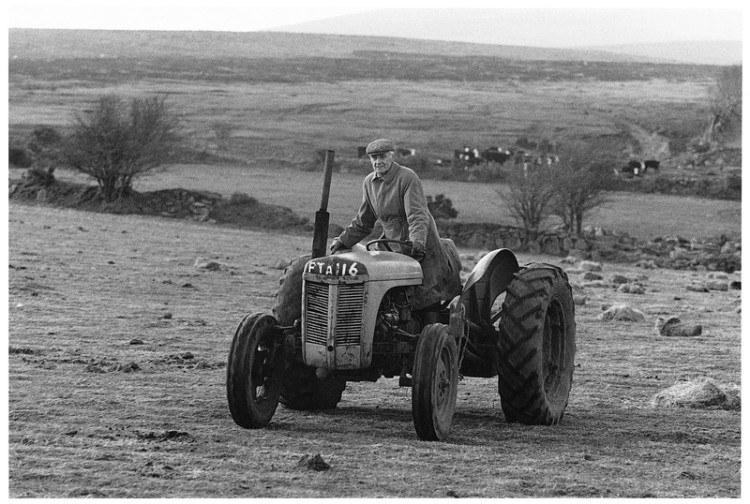 Tom Endacott winter feeding, North Creaber, Gidleigh 1978.jpg