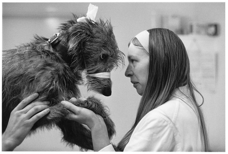 Veterinary surgery, Moretonhampstead 1976.jpg